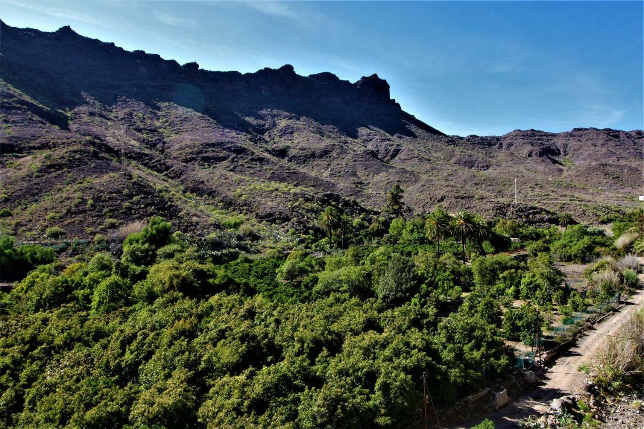 Open Sky Valley Mogan Luaran gambar